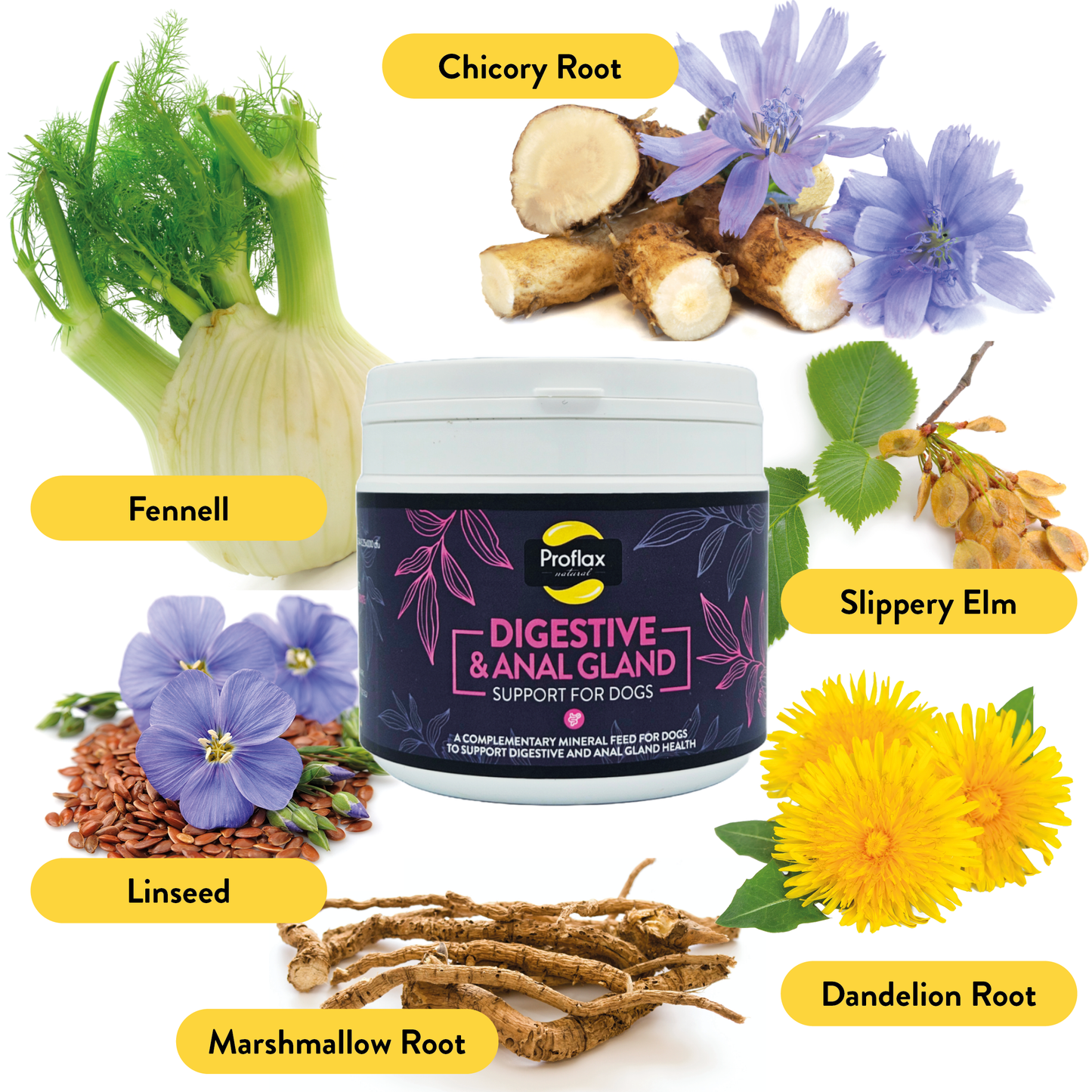 Proflax Digestive & Anal Gland Support for Dogs 350g