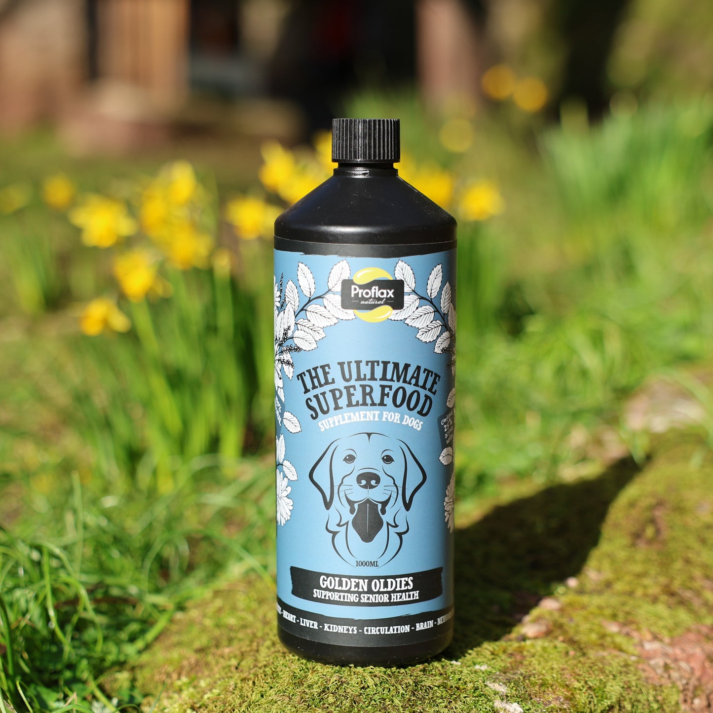 Proflax Golden Oldies for Dogs