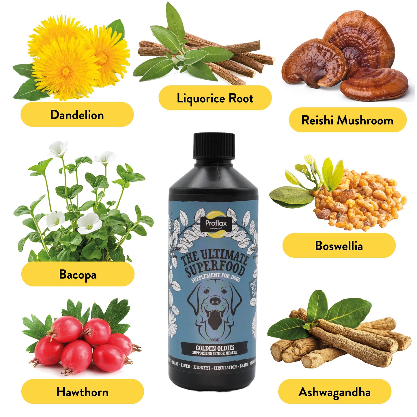 Proflax Golden Oldies for Dogs