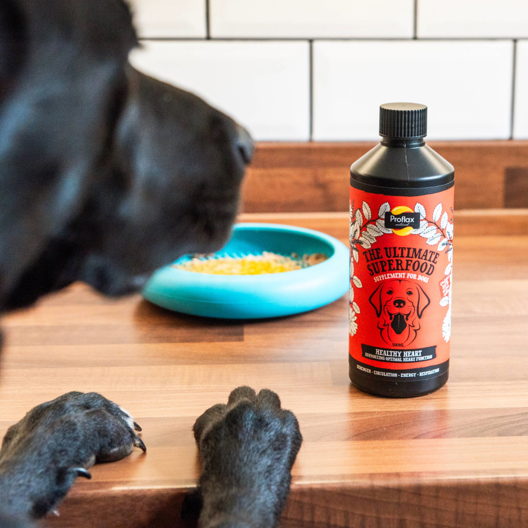 Proflax Healthy Heart for Dogs