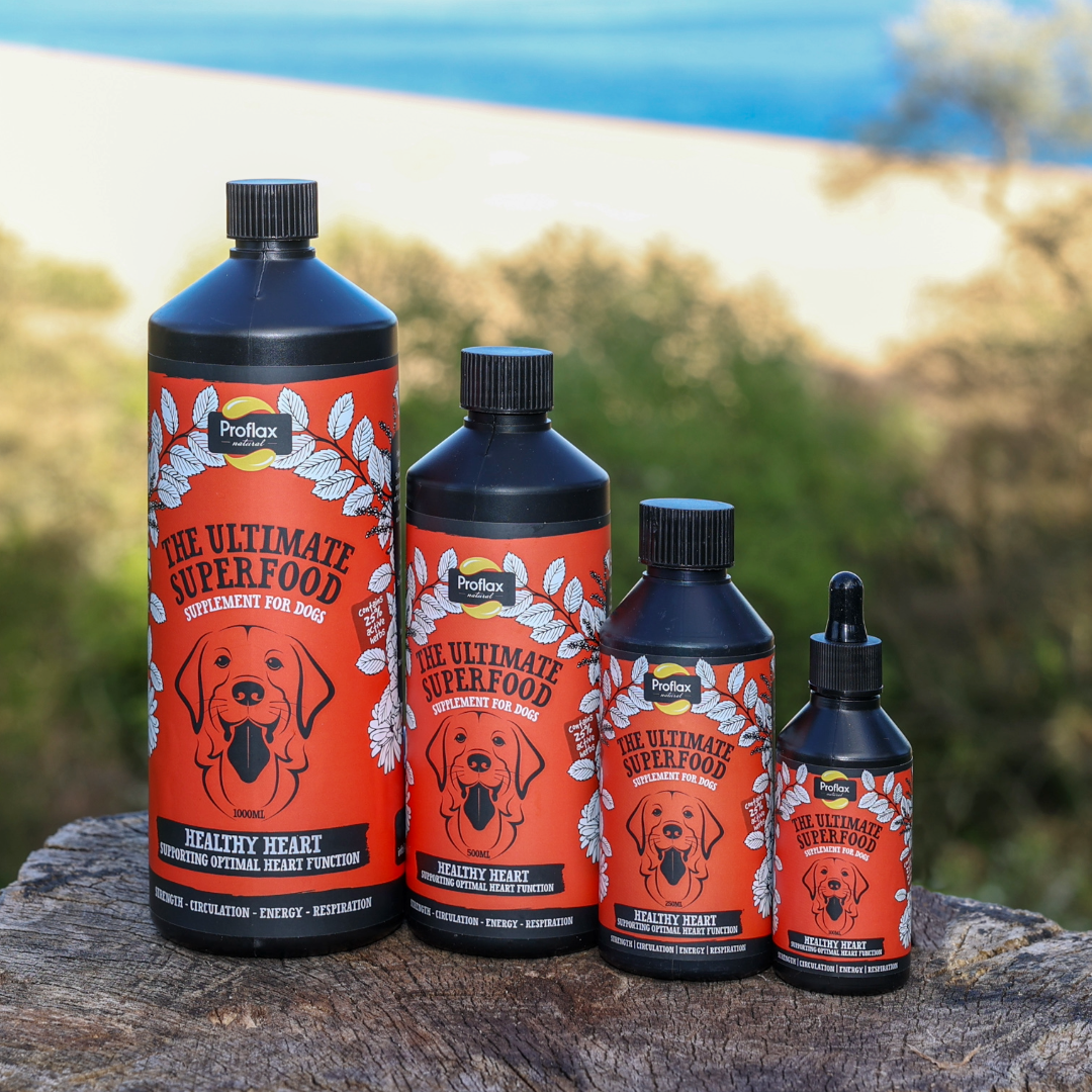 Proflax Healthy Heart for Dogs
