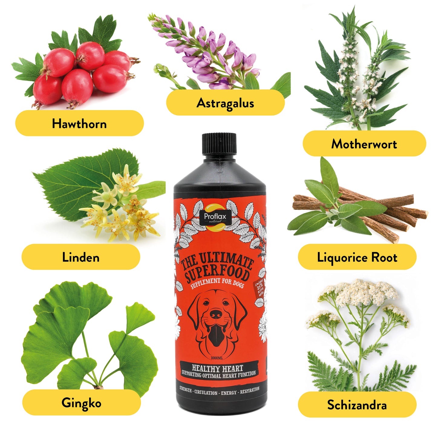 Proflax Healthy Heart for Dogs