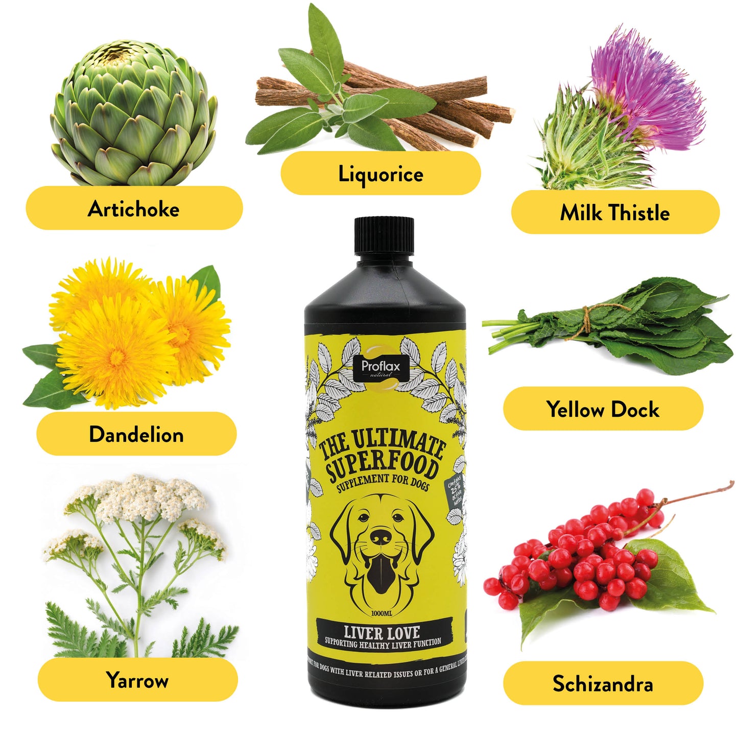 Liver & Cleansing Support for Dogs - Liver Love
