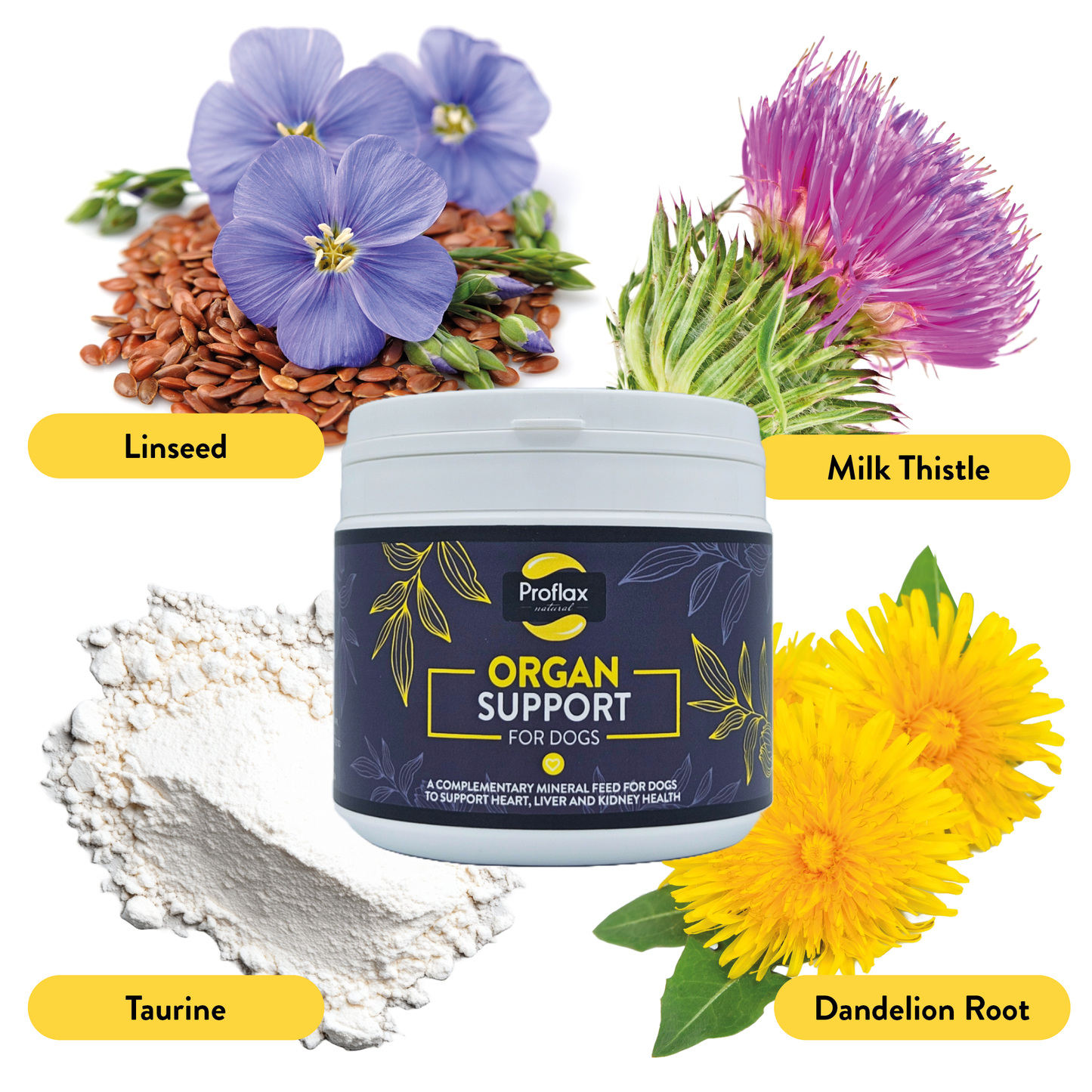 Proflax Organ Support For Dogs