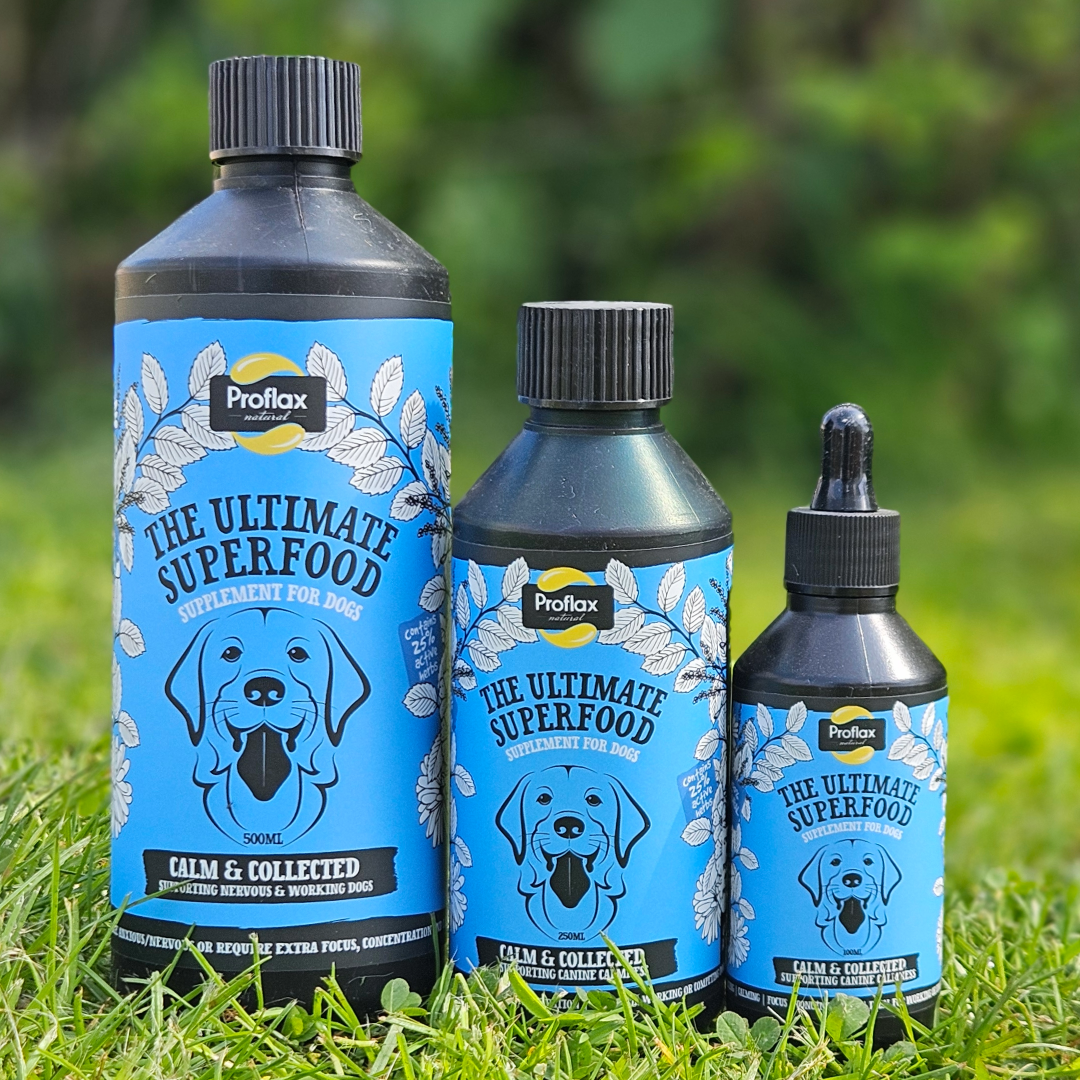 Proflax Calm & Collected for Dogs