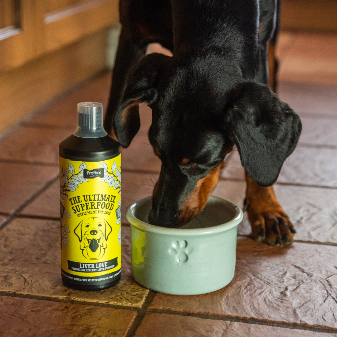 Liver & Cleansing Support for Dogs - Liver Love