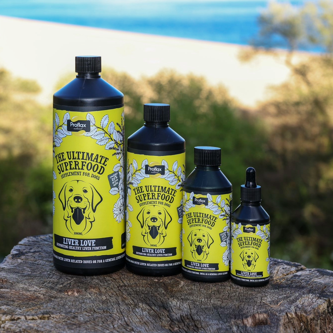 Liver & Cleansing Support for Dogs - Liver Love