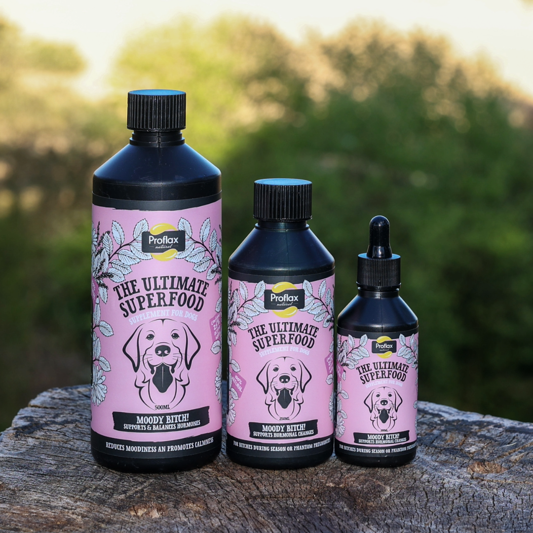 Proflax Moody Bitch for Dogs