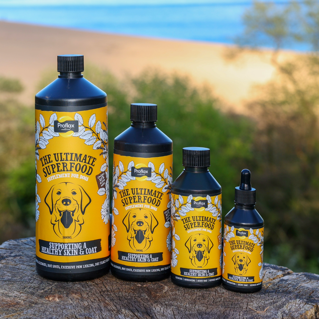 Skin & Coat Support for Dogs