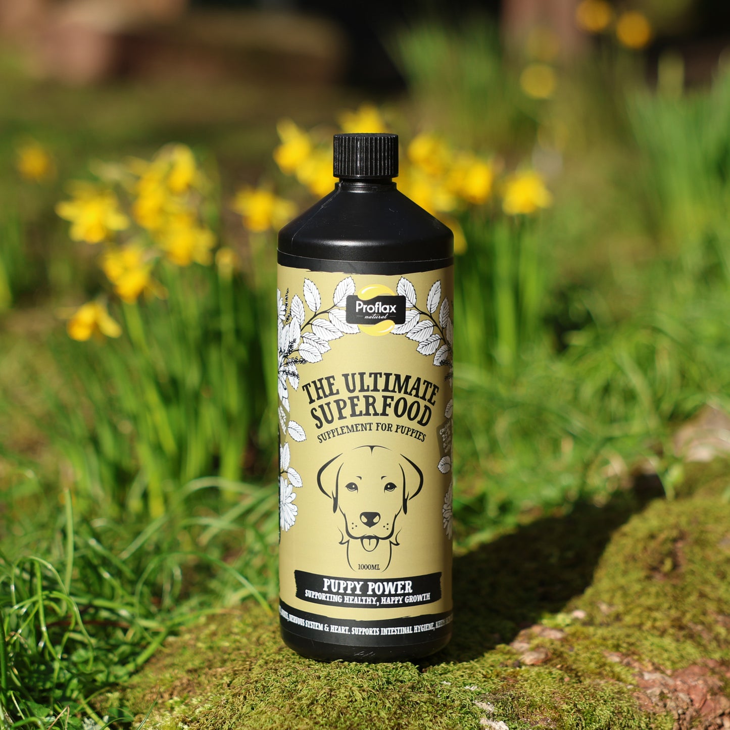 Puppy Digestion & Growth Support - Puppy Power