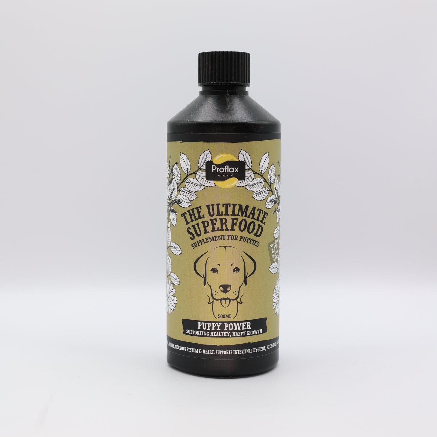 Puppy Digestion & Growth Support - Puppy Power