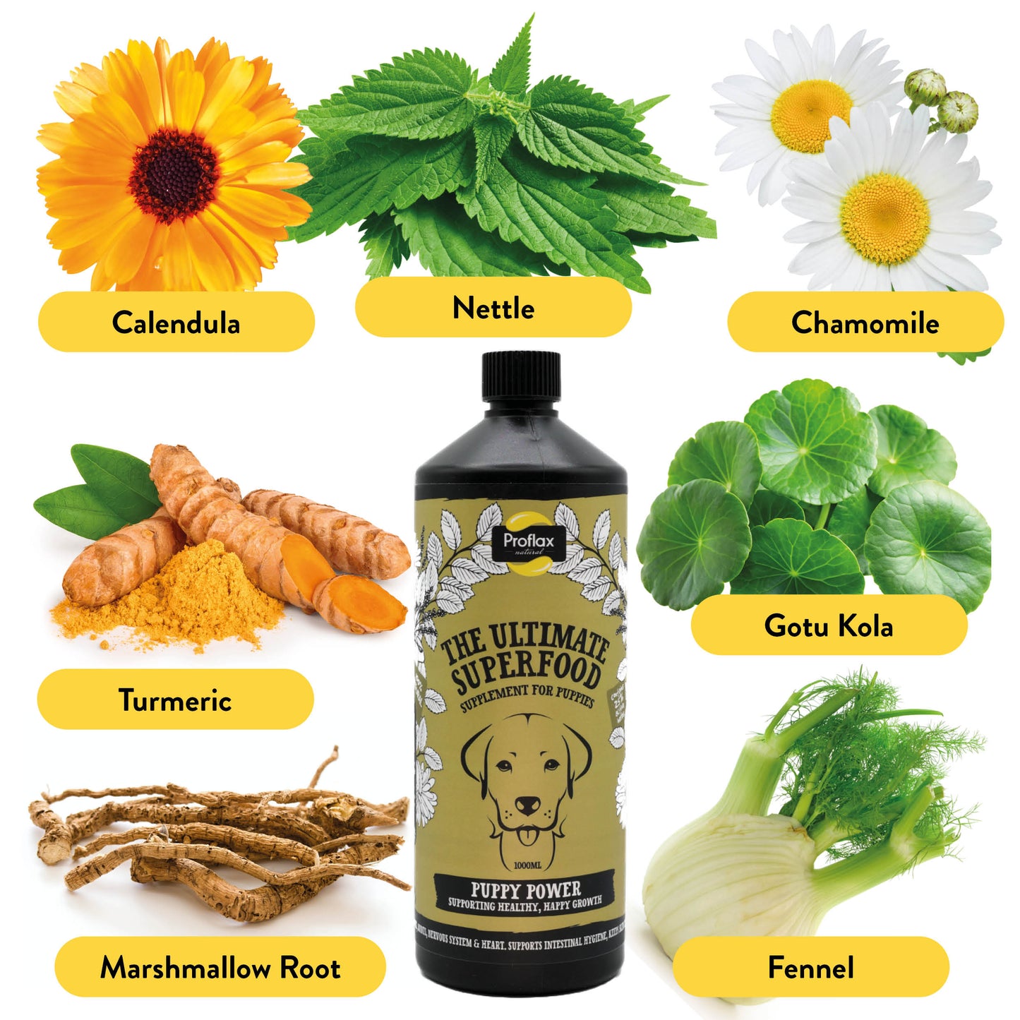 Puppy Digestion & Growth Support - Puppy Power