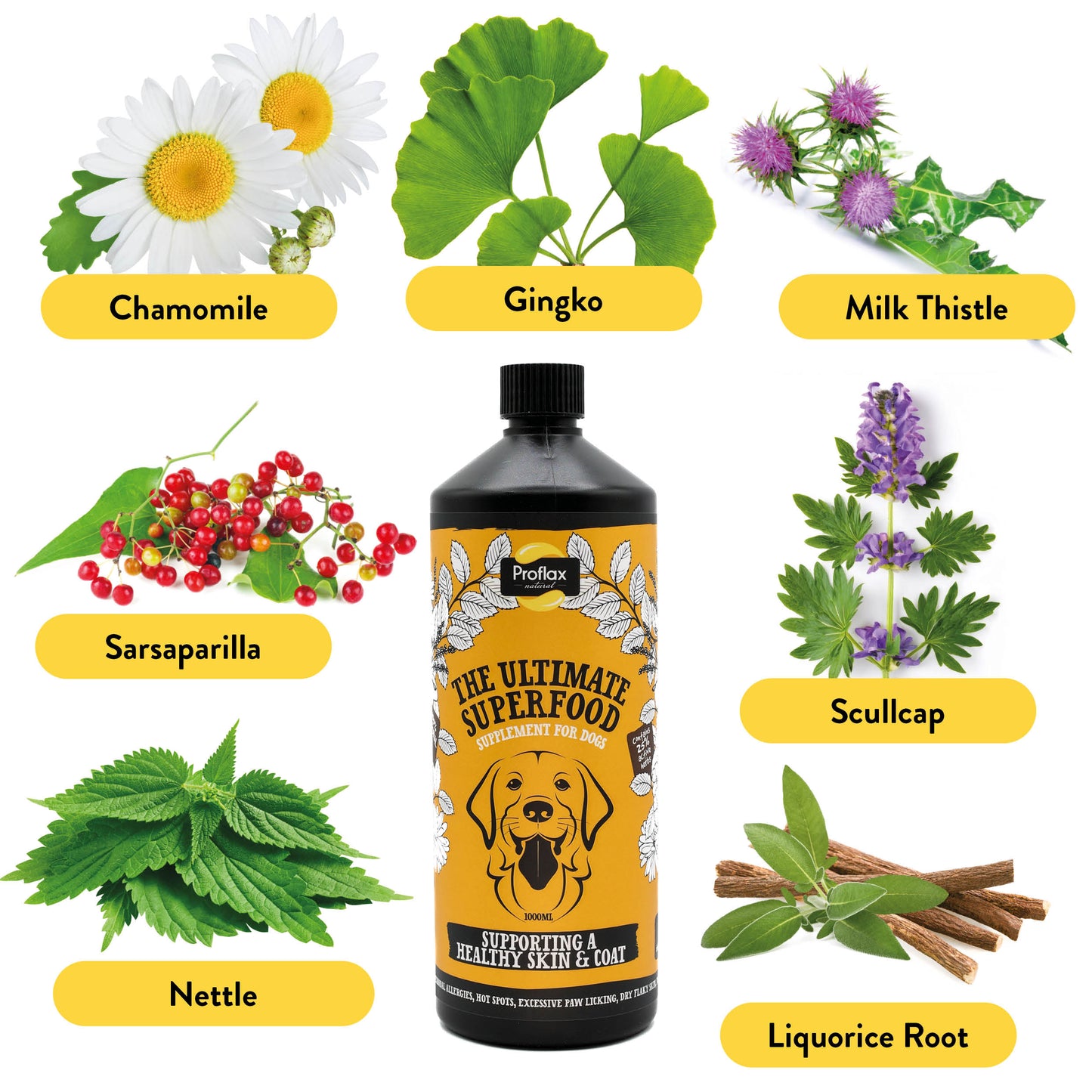 Skin & Coat Support for Dogs