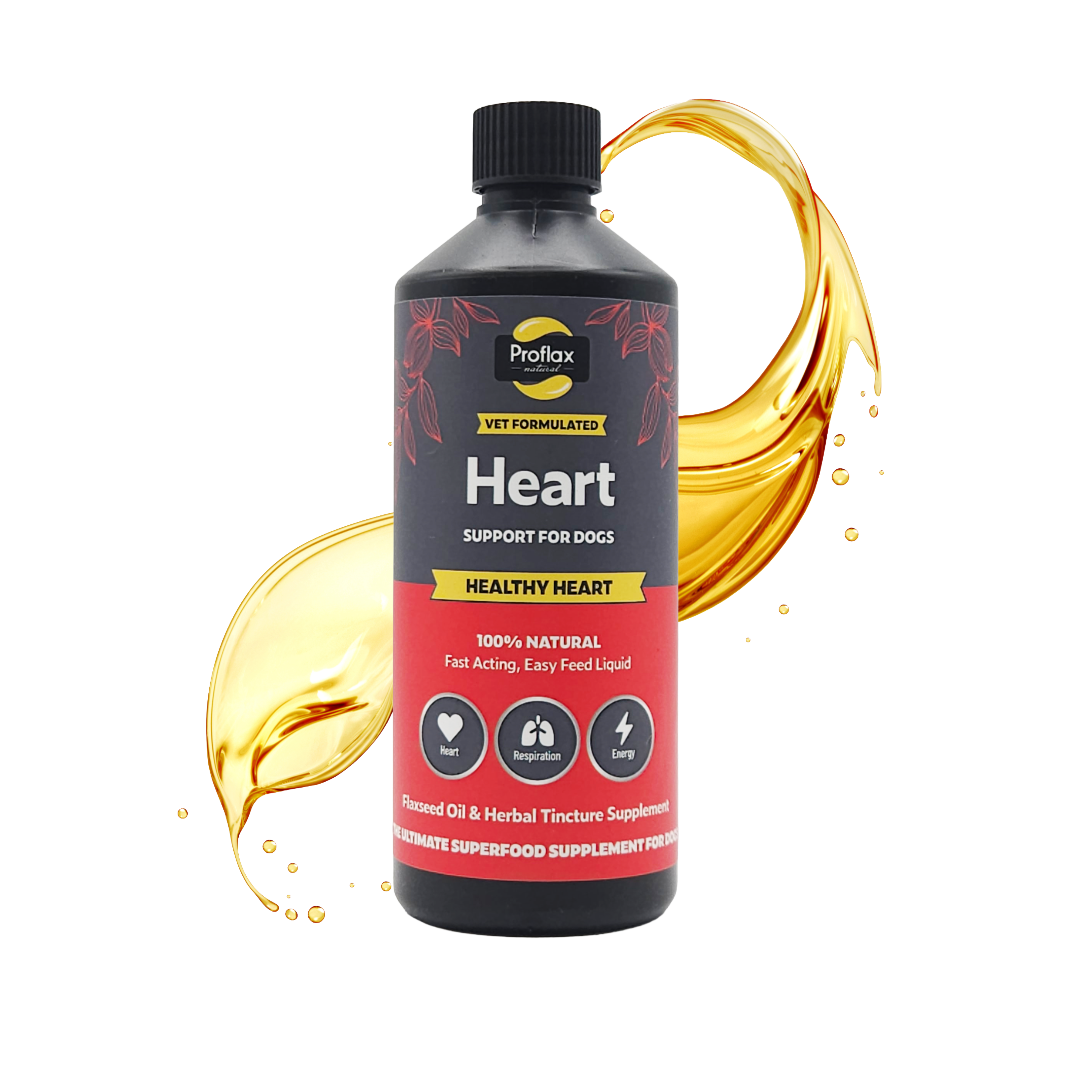 Heart & Circulation Support for Dogs - Healthy Heart