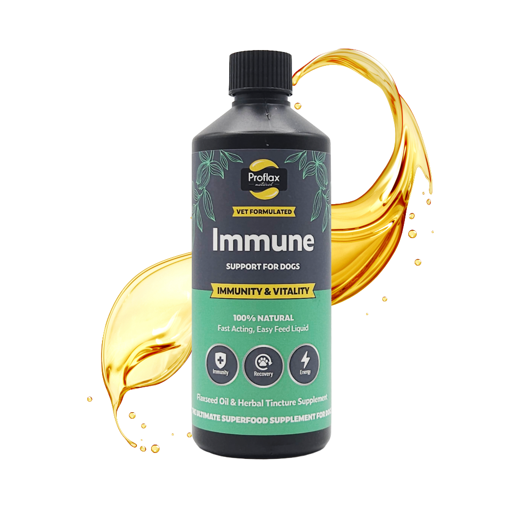Immune & Energy Support for Dogs