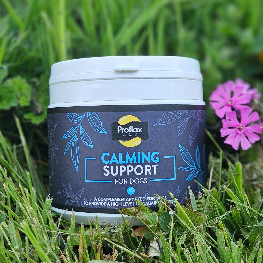 Proflax Calming Support for Dogs 250g