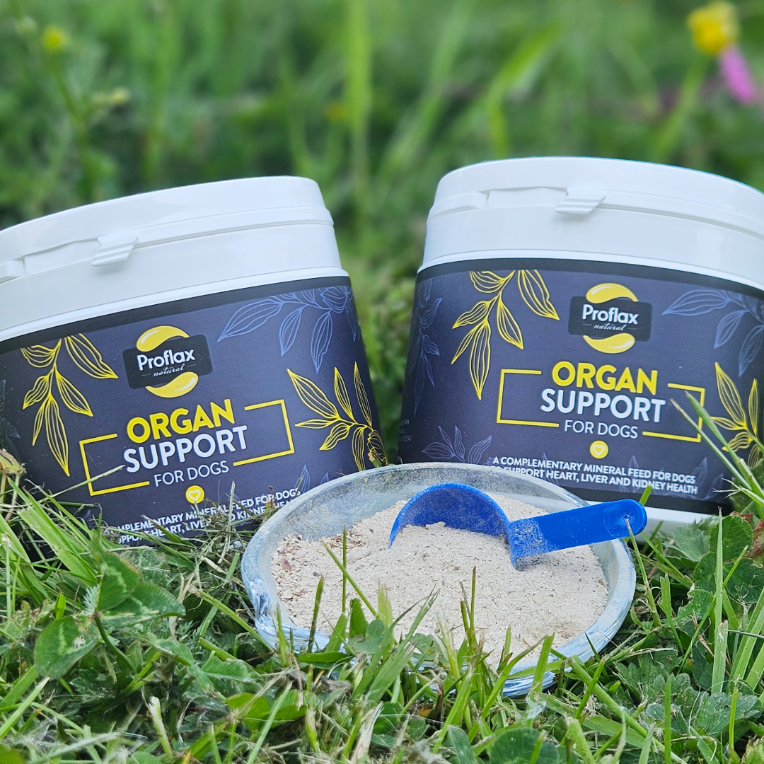 Proflax Organ Support For Dogs 350g