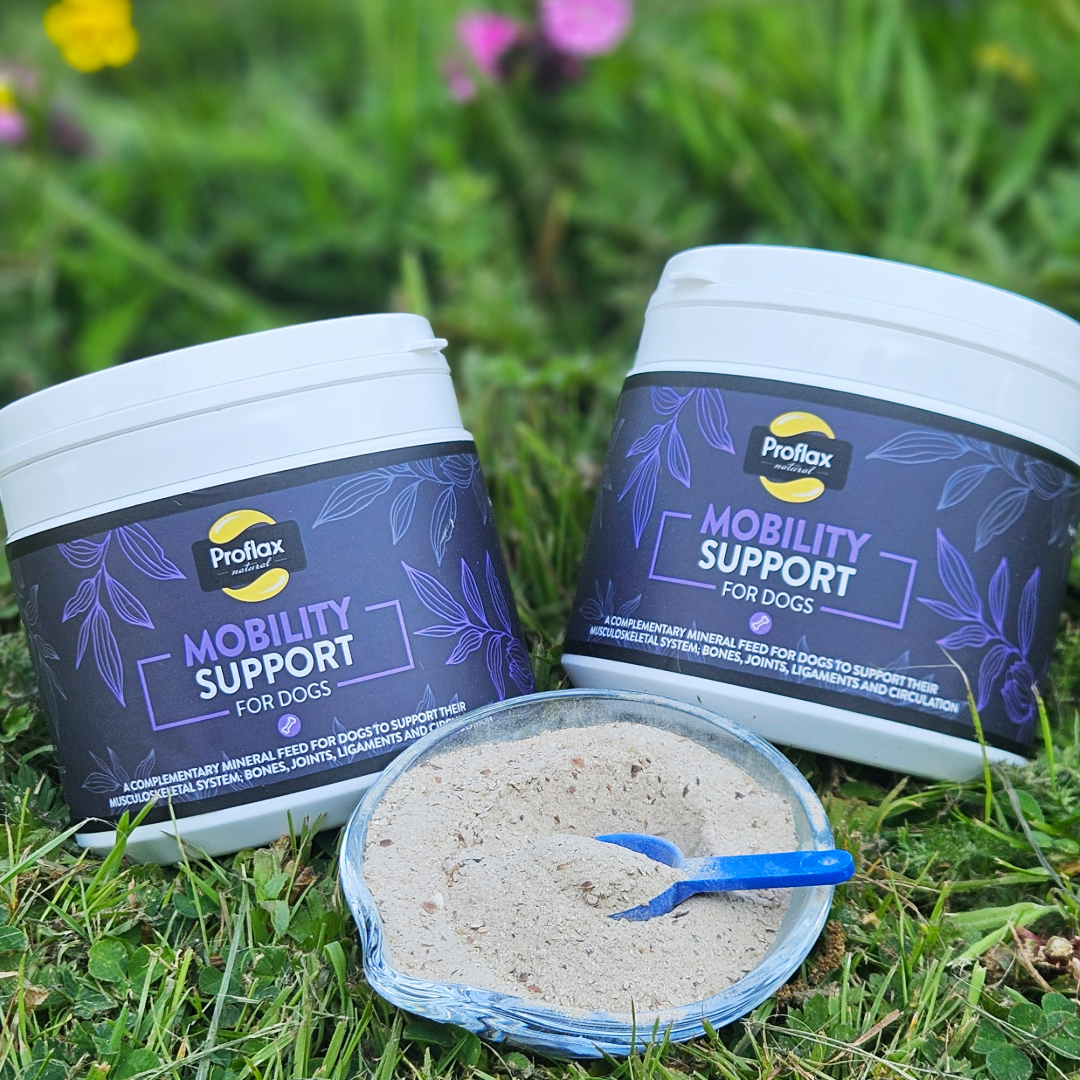 Proflax Mobility Support for Dogs 350g