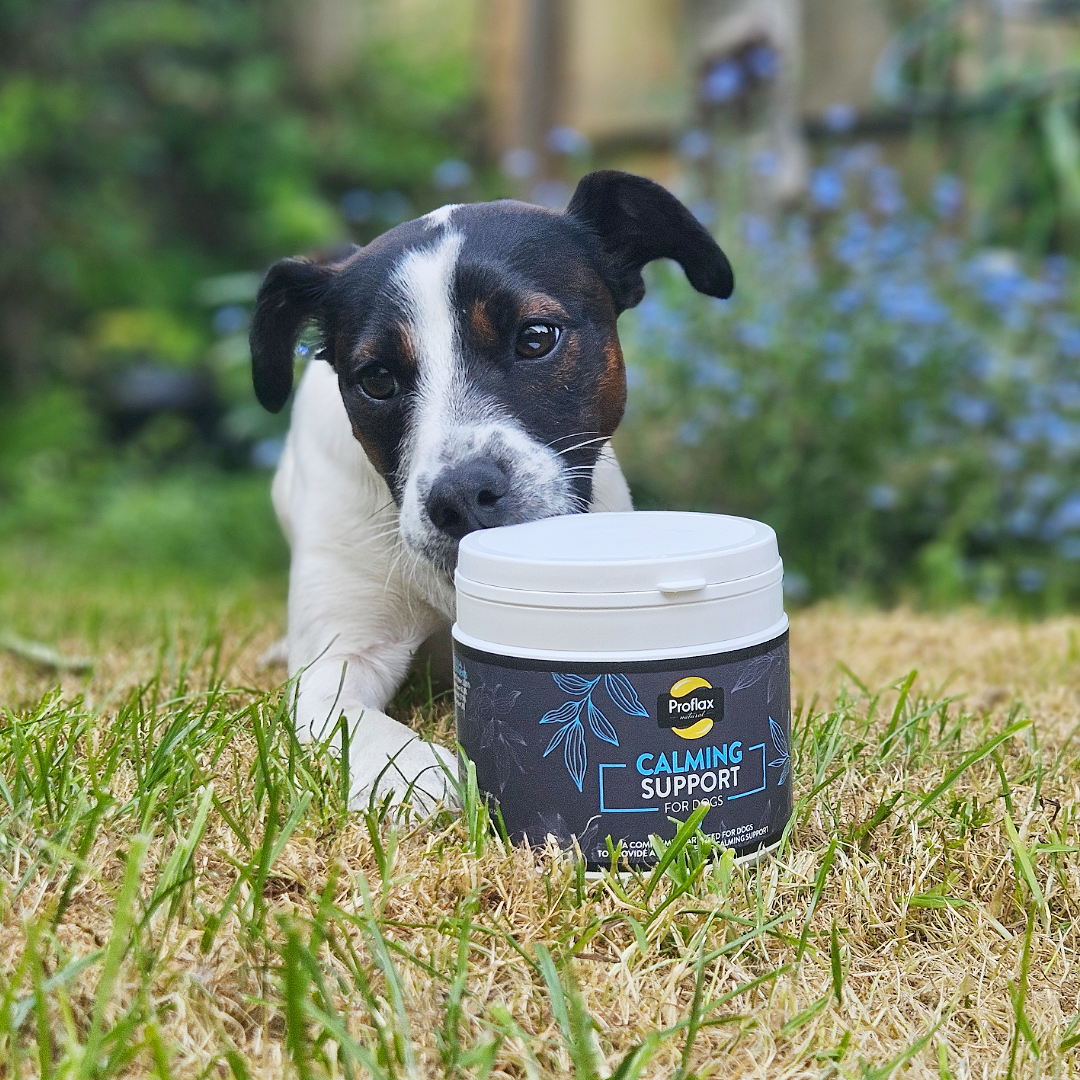 Proflax Calming Support for Dogs 250g