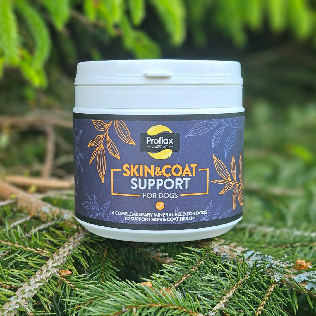 Proflax Skin & Coat Support for Dogs 350g
