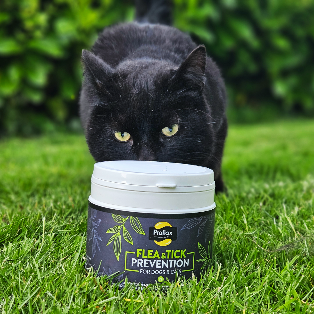 Proflax Flea & Tick Prevention For Dogs & Cats 250g