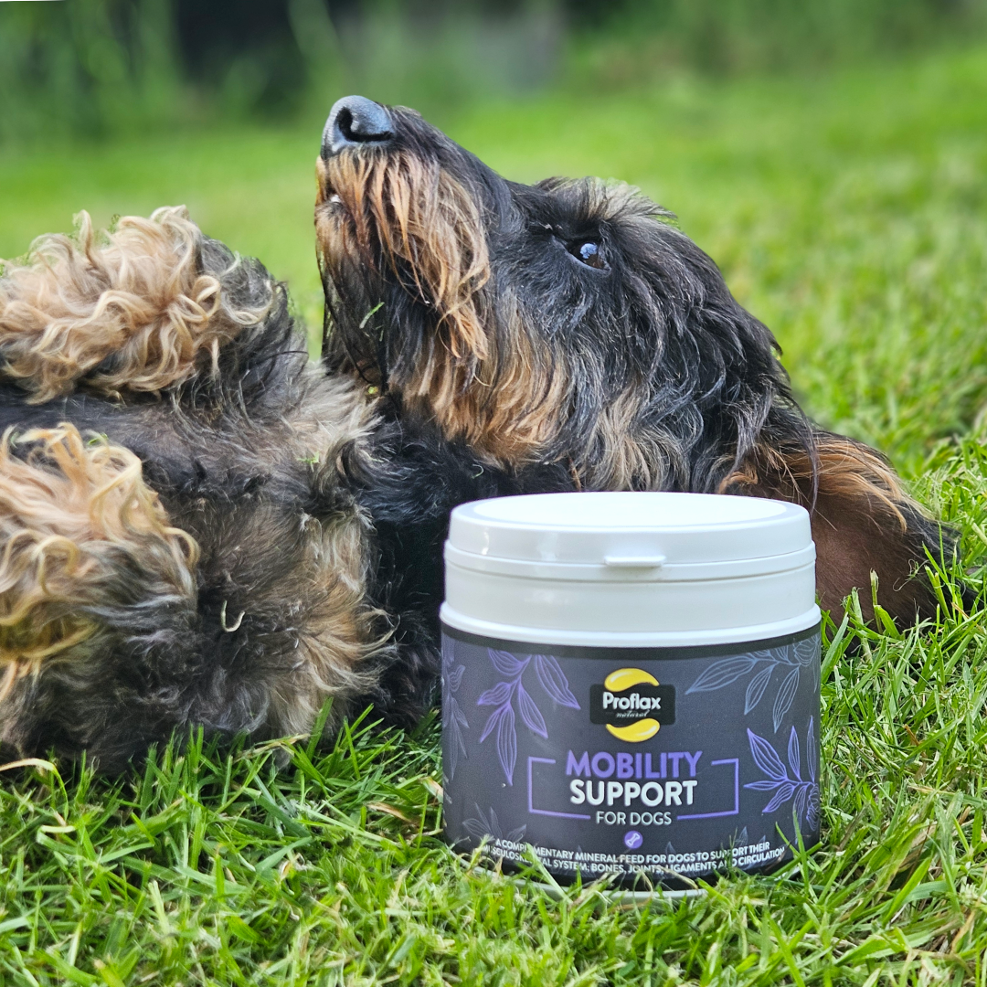 Proflax Mobility Support for Dogs 350g