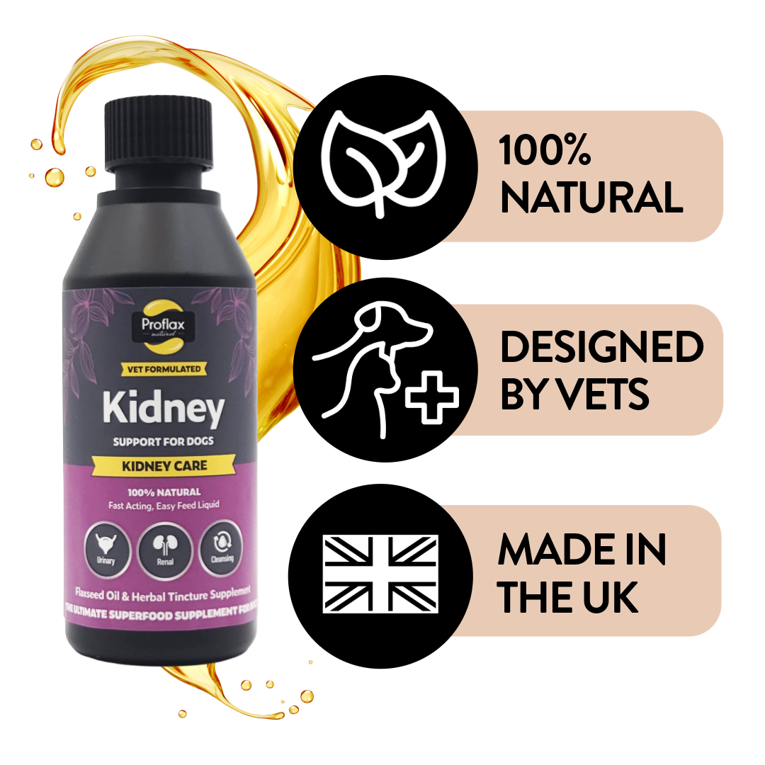 Kidney & Urinary Support for Dogs - Kidney Care