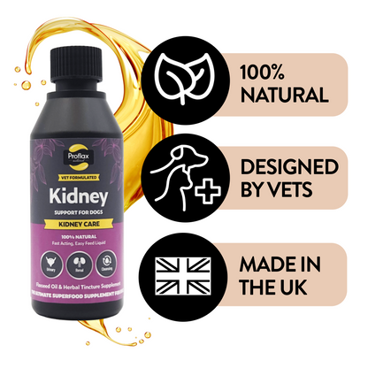 Kidney & Urinary Support for Dogs - Kidney Care