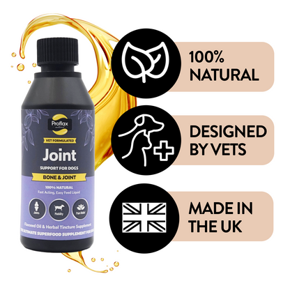 Bone, Joint & Mobility Support for Dogs