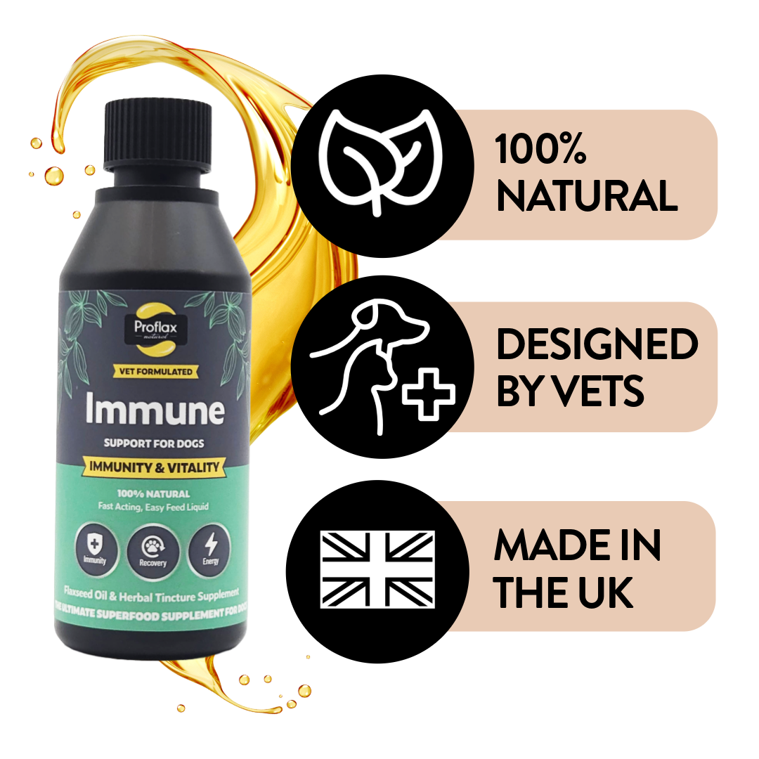 Immune & Energy Support for Dogs
