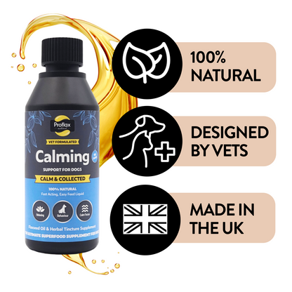 Calming Support for Mild Anxiety - Calm & Collected