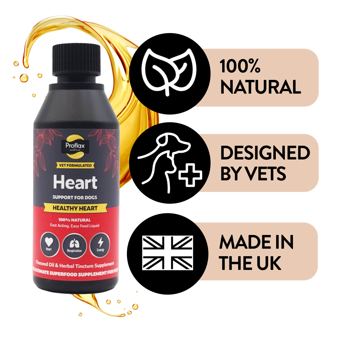 Heart & Circulation Support for Dogs - Healthy Heart