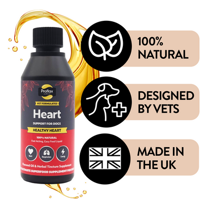 Heart & Circulation Support for Dogs - Healthy Heart
