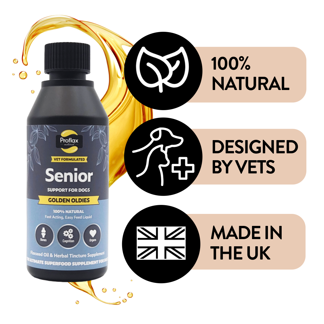 Senior Complete Blend  for Dogs - Golden Oldies