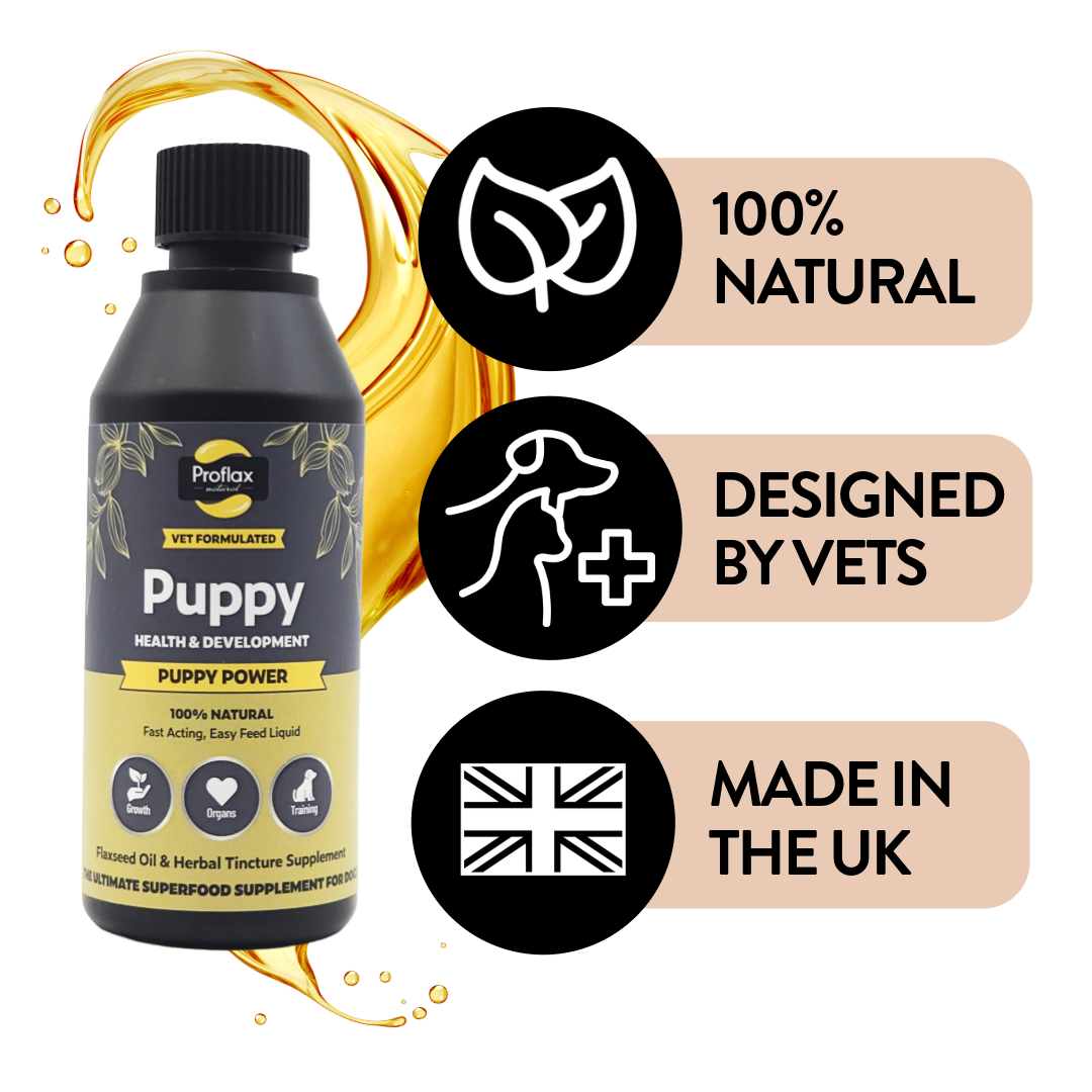 Puppy Digestion & Growth Support - Puppy Power