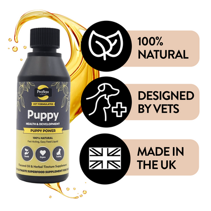 Puppy Digestion & Growth Support - Puppy Power