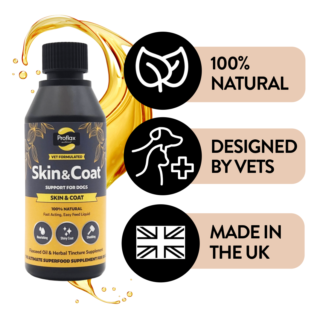 Skin & Coat Support for Dogs
