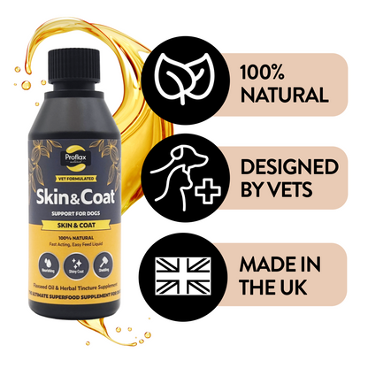 Skin & Coat Support for Dogs