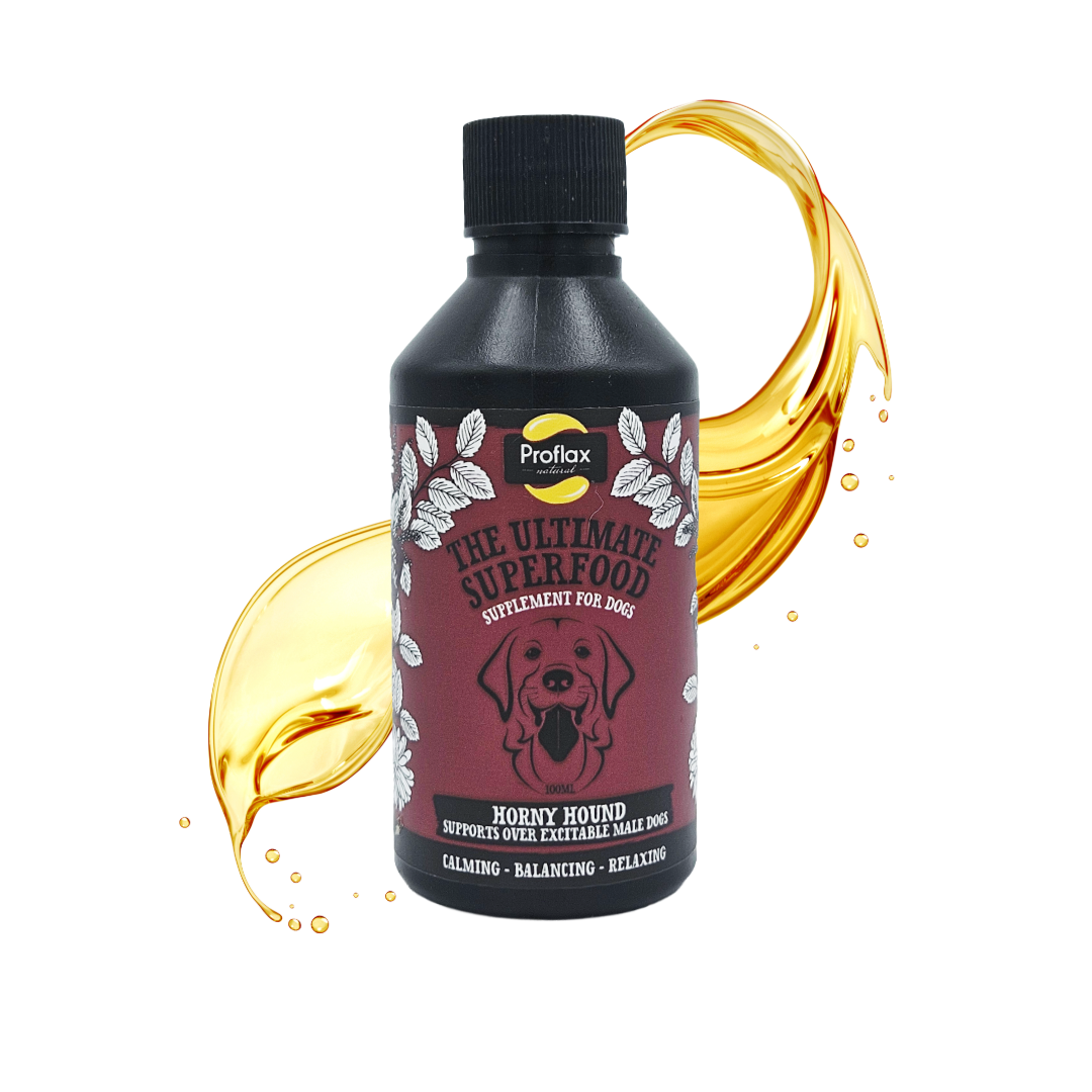 Emotional Balance for Male Dogs - Horny Hound