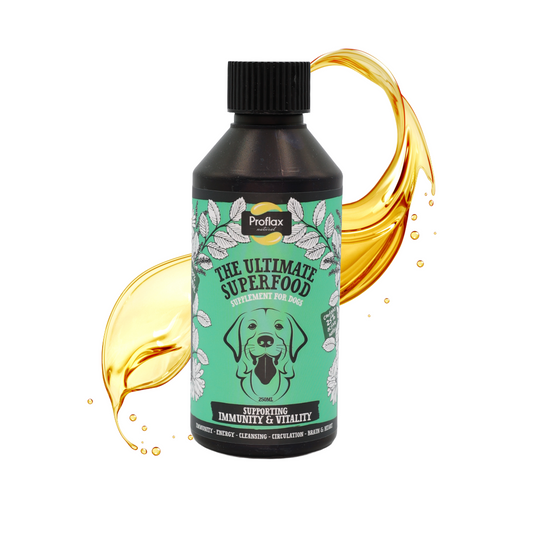 Immune & Energy Support for Dogs