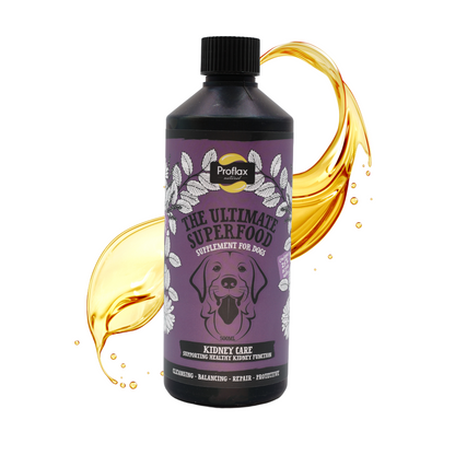 Kidney & Urinary Support for Dogs - Kidney Care