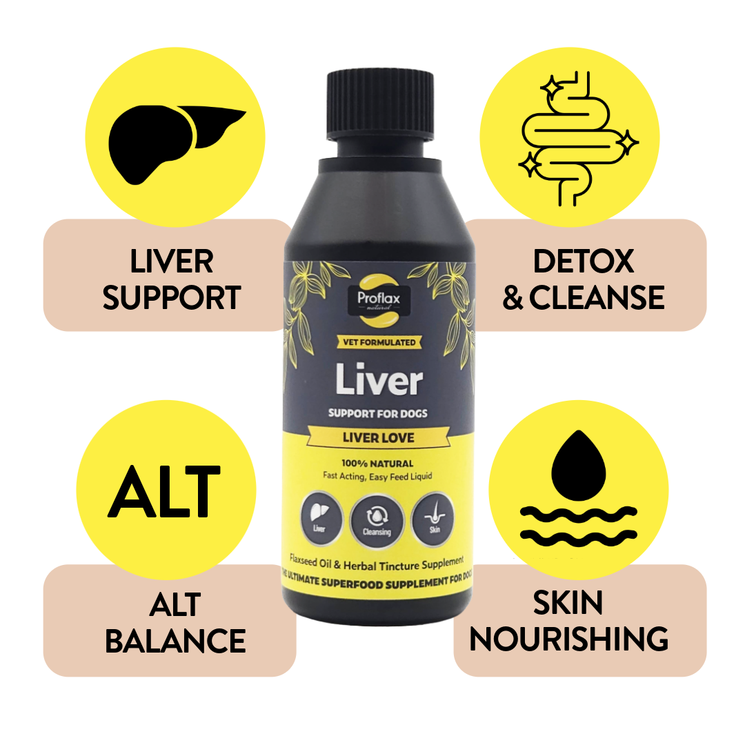 Liver & Cleansing Support for Dogs - Liver Love