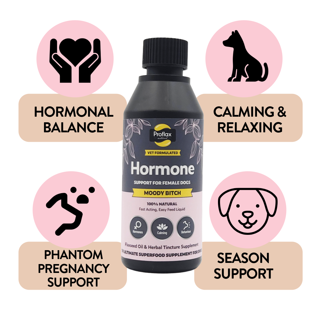 Balancing Relief for Female Dogs - Moody Bitch