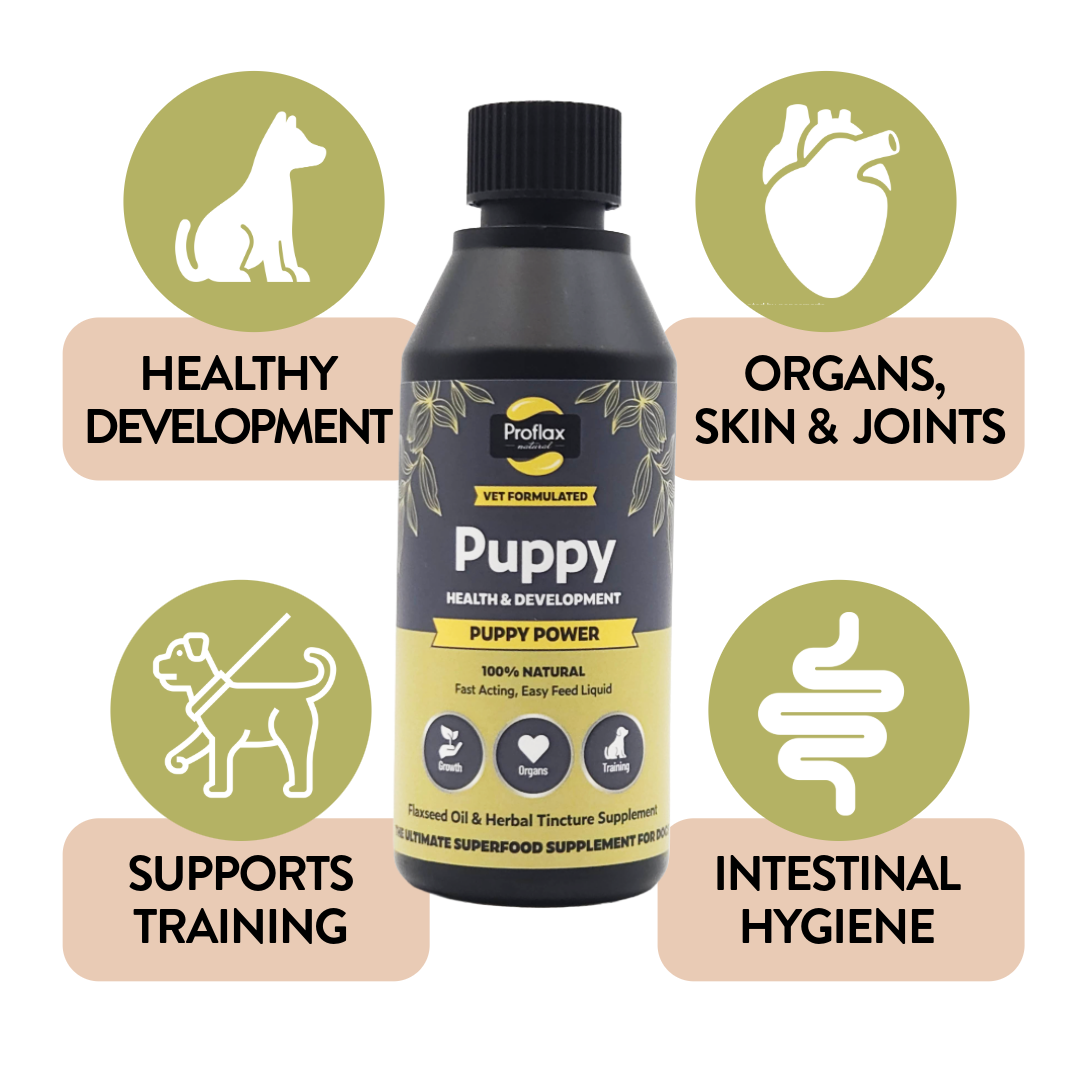 Puppy Digestion & Growth Support - Puppy Power