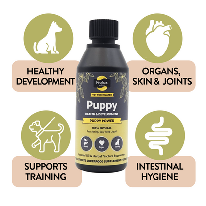 Puppy Digestion & Growth Support - Puppy Power