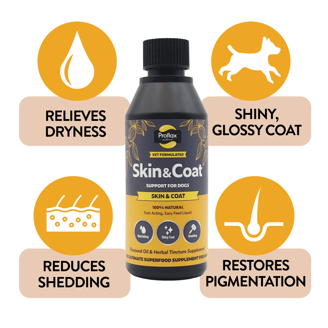Skin & Coat Support for Dogs