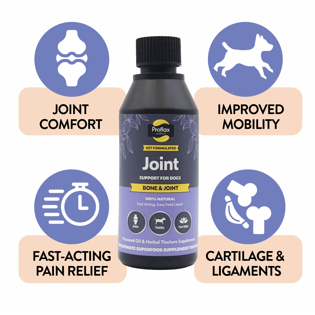 Bone, Joint & Mobility Support for Dogs