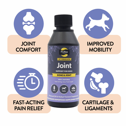 Bone, Joint & Mobility Support for Dogs