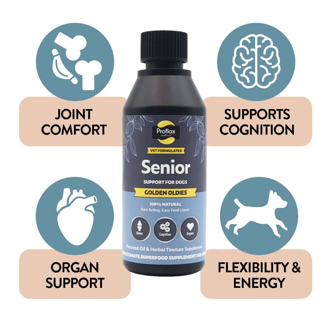 Senior Complete Blend  for Dogs - Golden Oldies
