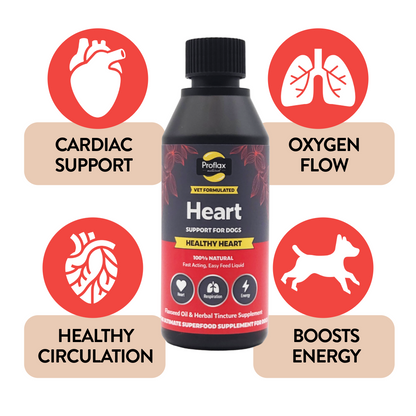 Heart & Circulation Support for Dogs - Healthy Heart